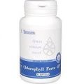 Chlorophyll Forte GP (Хлорофилл форте, хлорофиллин) — Биологически Активная Добавка к пище (БАД) Santegra (Сантегра), ранее Enrich (Инрич)